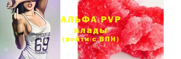 СК Беломорск