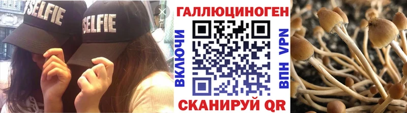 Псилоцибиновые грибы Magic Shrooms  Купить закладки  Гремячинск 